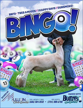 Bingo